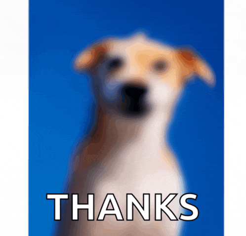 a blurry picture of a dog with the words thanks underneath it