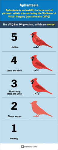 a poster for aphantasia which has 16 questions