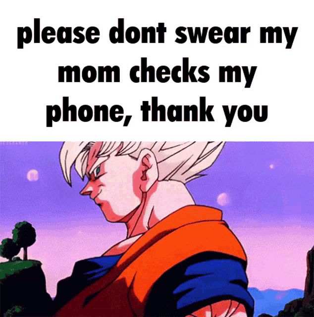 a picture of a dragon ball z character that says please dont swear my mom checks my phone , thank you .