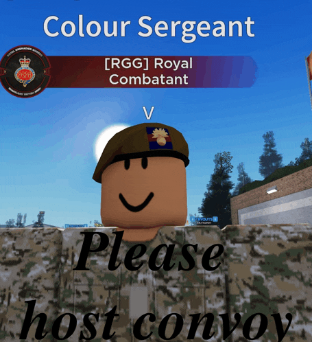 a video game character with the name colour sergeant on top