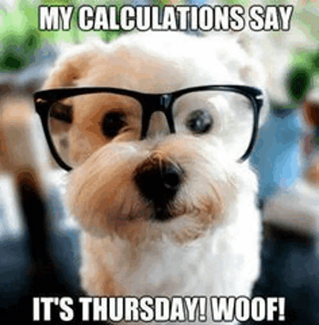 My Calculations Say Its Thursday Woof Luca Meme