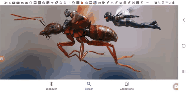 a phone screen shows a picture of an ant man riding an ant woman