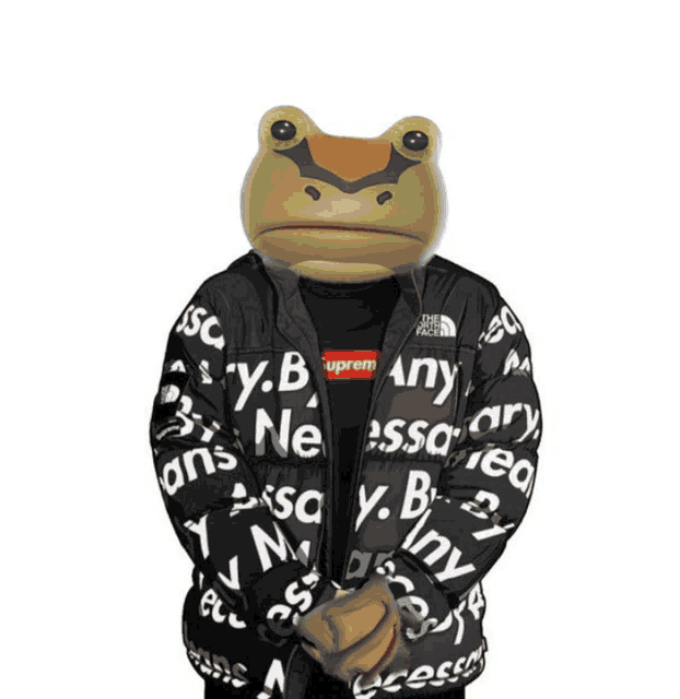 a frog wearing a black jacket with supreme written all over it