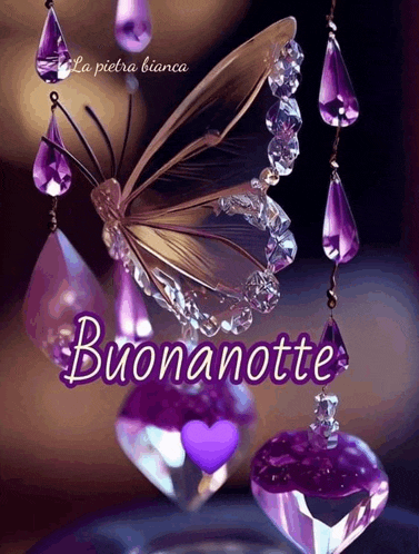 a picture of a butterfly surrounded by purple crystals with the words buonanotte