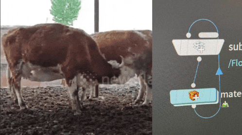 a picture of a cow next to a diagram that says " sub / flo "