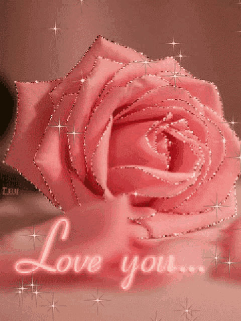 a pink rose with the words " love you " written below it