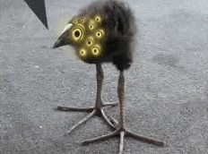 a bird with a strange head and legs is standing on a concrete surface .