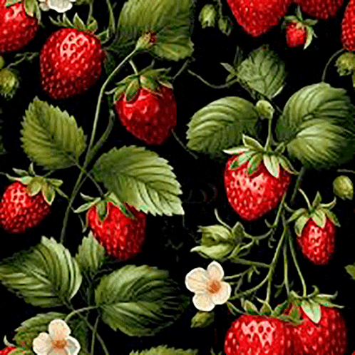 strawberries are growing on a vine with green leaves and white flowers on a black background .