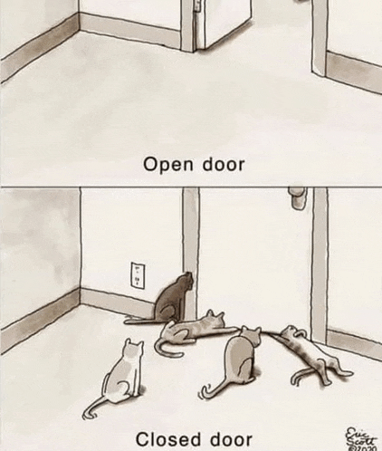 a cartoon of a group of cats standing in front of an open and closed door .