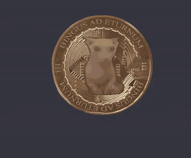 a coin with a picture of a cat and the words " bingus ad eturnum " on it