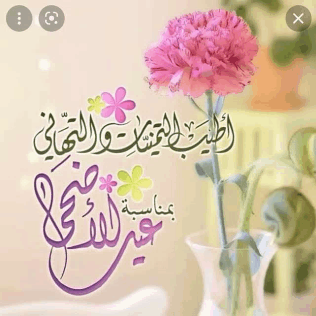 a pink flower in a vase with arabic calligraphy