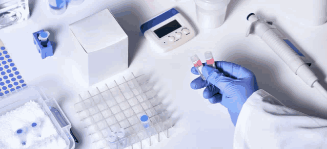 a person wearing blue gloves holds two test tubes