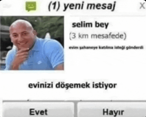 a picture of a bald man in a blue shirt is on a screen with a message from selim bey .