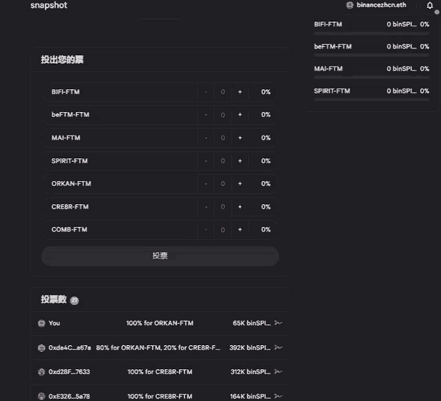 a screenshot of a snapshot page with chinese characters on it