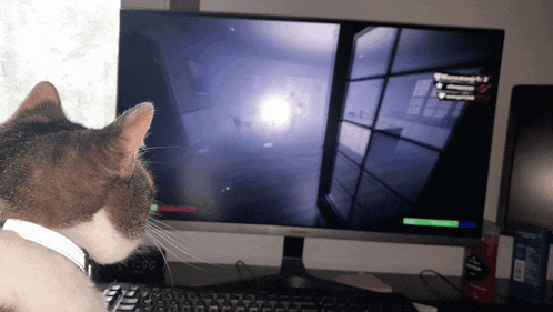 a cat is looking at a computer screen that says ' samsung ' on the bottom