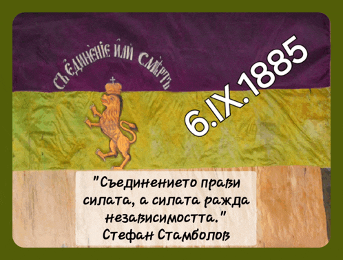 a purple yellow and green flag with a lion and the date 6.ix 1885