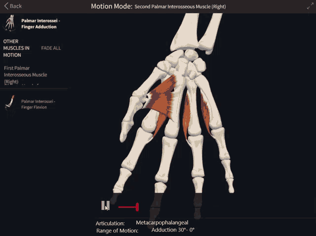 a screen shows a skeleton and muscles and says " motion mode " at the top