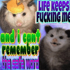 a opossum with a pancake on its head says life keeps fucking me