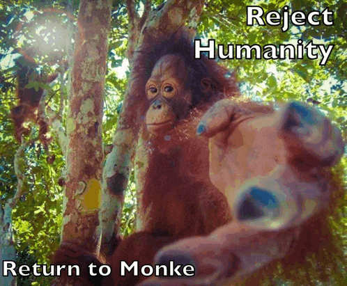 a picture of an orangutan with the words " reject humanity return to monke "