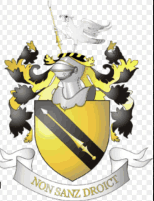 a coat of arms with the words non sanz droict on the bottom