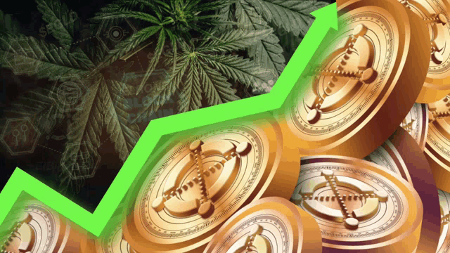 a bunch of gold coins with a green arrow pointing up and a marijuana plant in the background