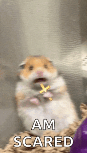 a hamster holding a cross with the words " am scared " below it