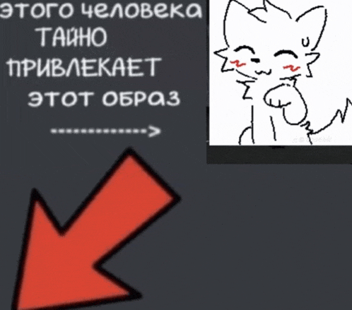 a red arrow pointing to a picture of a cat