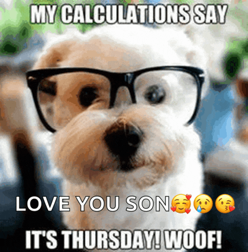 a dog wearing glasses says " my calculations say love you son "