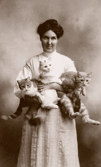 a woman in a white dress is holding two cats