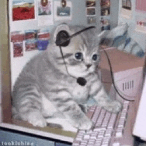 a kitten wearing headphones is sitting at a keyboard .