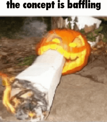 a picture of a pumpkin with a cigarette sticking out of it with the caption the concept is baffling