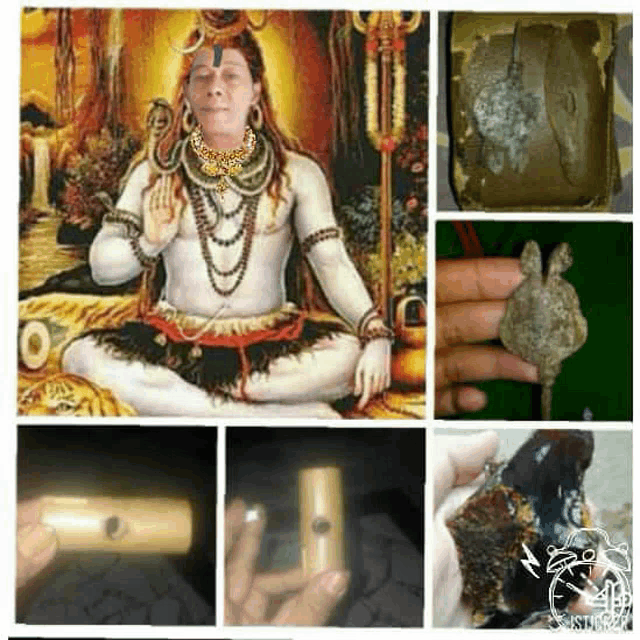 a collage of pictures shows a man sitting in a lotus position with a snake around his neck