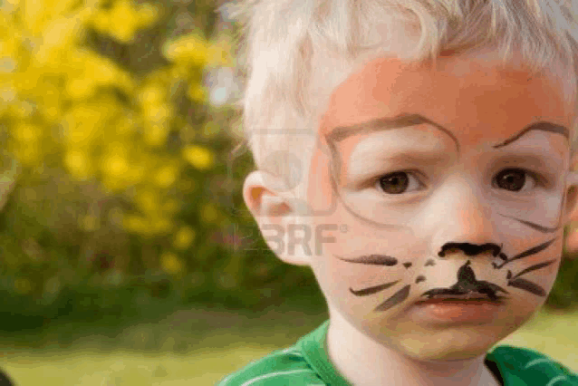 a little boy with his face painted like a cat