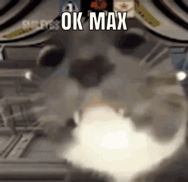 a close up of a cat 's face with smoke coming out of its mouth and the words `` ok max '' above it .