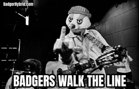 a badger with a guitar giving the middle finger