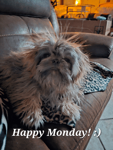 a dog laying on a couch with the words happy monday written below it