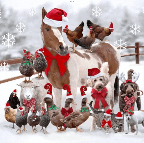 a group of animals are dressed in santa hats and scarves