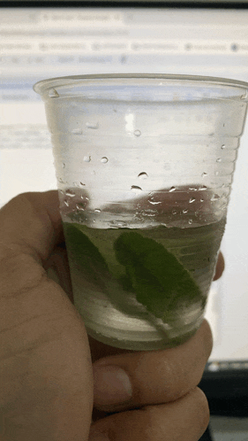 a person is holding a plastic cup with a leaf in it