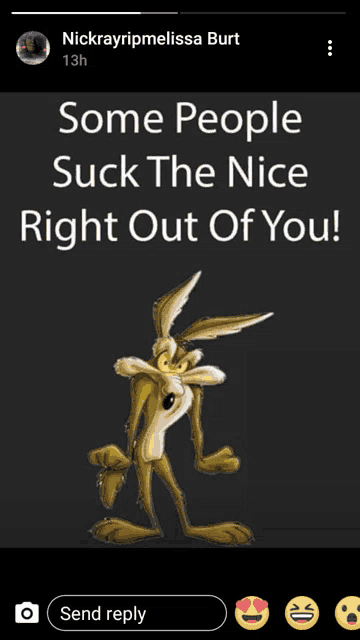 a picture of a coyote with the words " some people suck the nice right out of you "