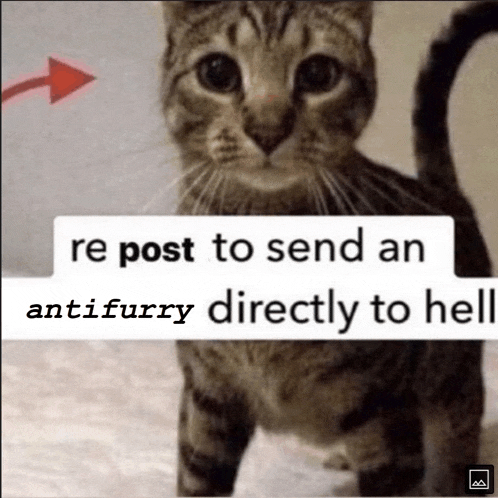 a cat with a red arrow pointing to it and the words re post to send an antifurry directly to hell