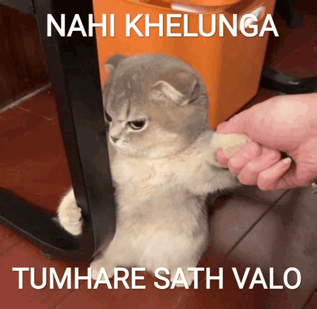 a picture of a cat with the caption " nahi khelunga tumhare sath valo " on it