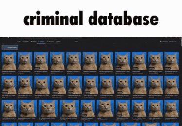 a screen shot of a criminal database with a bunch of pictures of cats