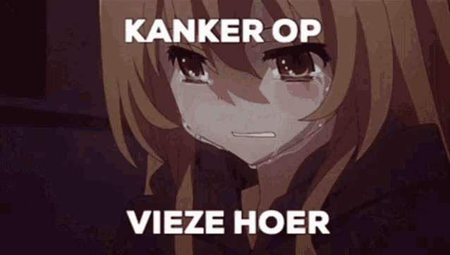 a crying anime girl with the words " kanker op vieze hoer " written above her