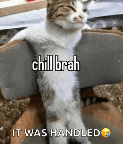 a cat is sitting on a chair with the words chill brah it was handled on the bottom