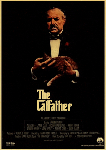 a movie poster for the godfather with a man holding a cat