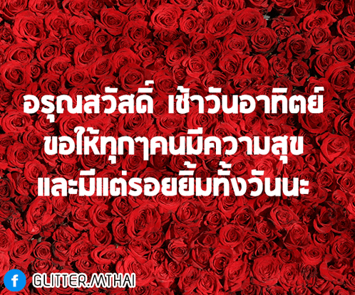 a bunch of red roses with the words glitter.mthai written on the bottom