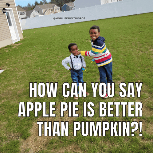 two young boys are standing in a grassy field with a caption that says how can you say apple pie is better than pumpkin