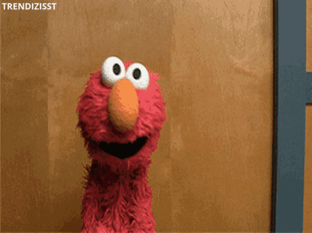 elmo from sesame street standing in front of a wooden door