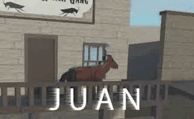 a goat is standing on a railing in front of a building with the name juan written on it .