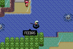 a video game screen shows a character fishing with the name feebas visible